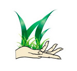 Логотип Бани Здоровья